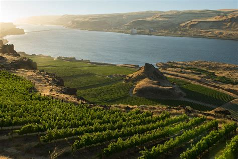 Columbia Gorge Wine Tasting Itinerary | WineryHunt Washington