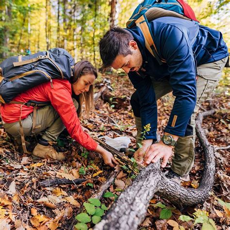 How to Start Foraging for Mushrooms | Family Handyman