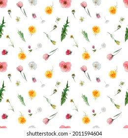 Hand Drawn Watercolor Wild Flower Pattern On Stock Illustration