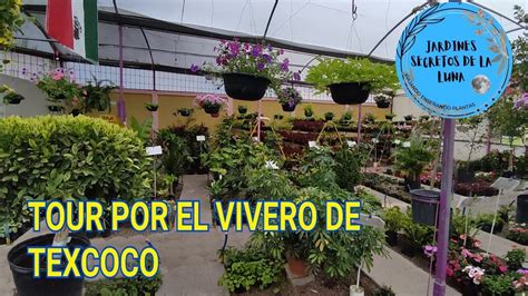 Tour por vivero de Texcoco Garden Center Marysia Sí regresaría por