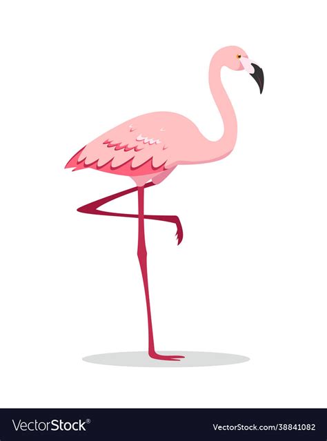 Pink Flamingo Bird Standing On One Leg Isolated Vector Image