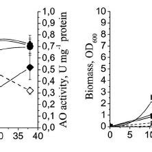 Hxs And Hxt Deficiencies Have A Moderate Effect On Growth On Hexoses