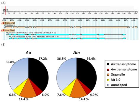 De Novo Transcriptome Assemblies A Alignment Of The Longest Contig To