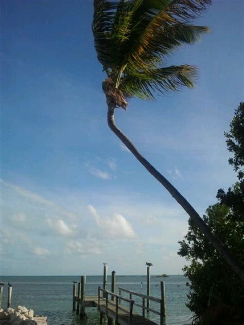 Lazy Days, Florida Keys | Florida, Outdoor, Florida keys