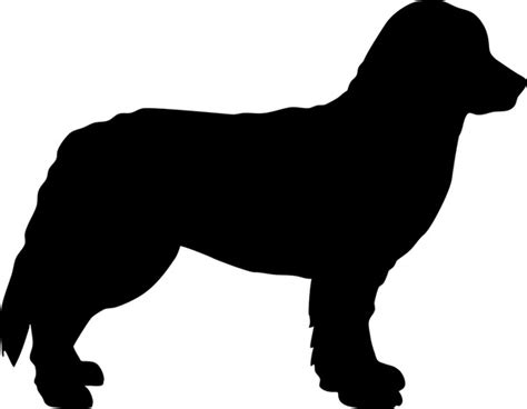 211 Bernese Mountain Dog Silhouette Stock Vectors And Vector Art