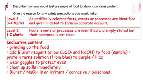 Aqa 9 1 Biology Enzymes And Digestion Exam Question Practice Revision