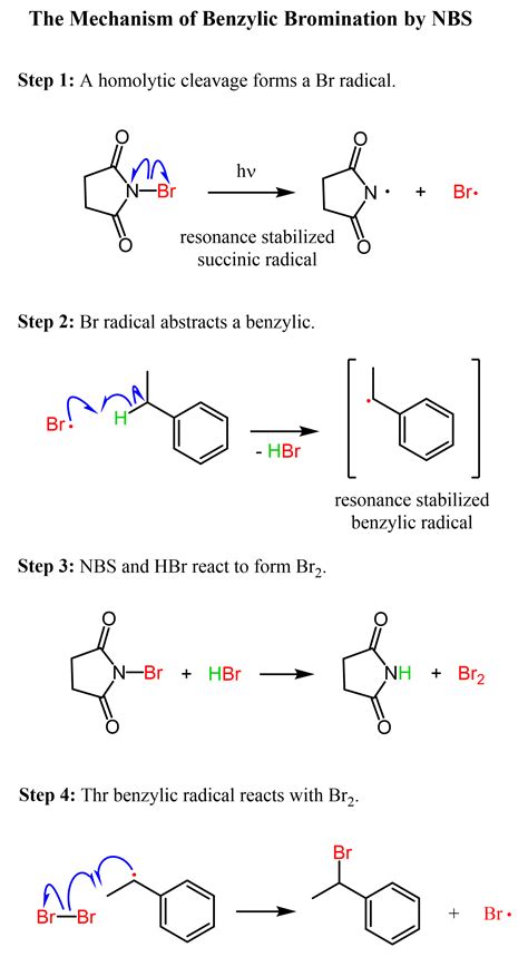 Benzylic Bromination Chemistry Steps