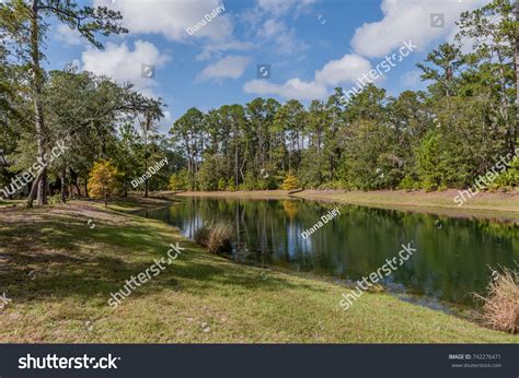 54 Skidaway island Images, Stock Photos & Vectors | Shutterstock