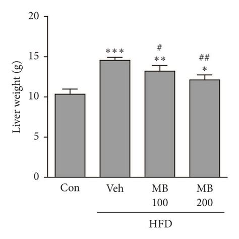 Mb Prevents Hepatic Steatosis In Hfd Induced Nafld A Liver Weight