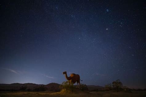 Borrego Springs travel: Hiking, stargazing, metal sculptures - Los ...