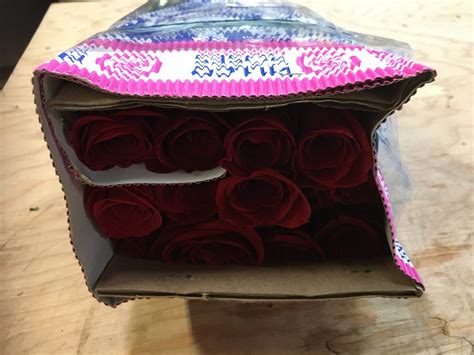 Bulk Red Roses Flower - Toronto Bulk Flowers Wholesale Price