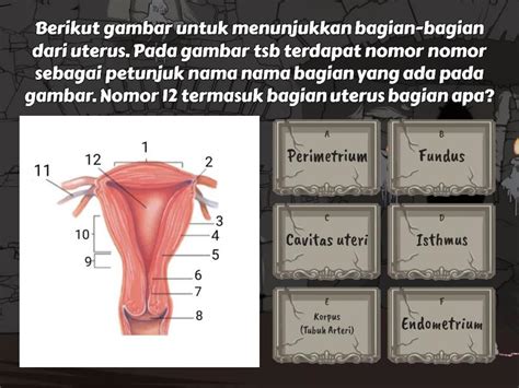 Sistem Reproduksi 1 Quiz