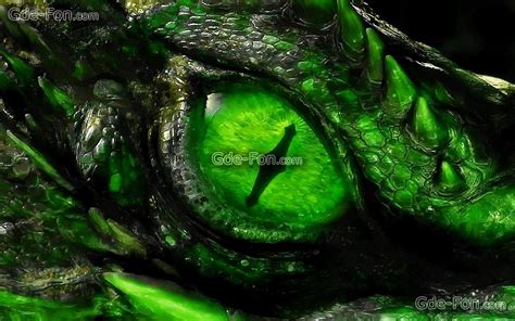 Green Dragon Eye Wallpapers Top Free Green Dragon Eye Backgrounds