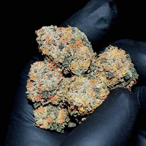 Top 7 Strongest Cannabis Strains In 2020 Strains And Products Wheres