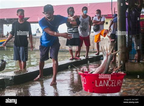 A Group Of Fish Porter In Binangonan Rizal Are Unloading The Basin