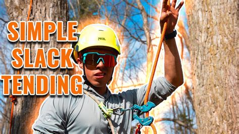 Srtsrs Tree Climbing Basics Slack Tending Youtube