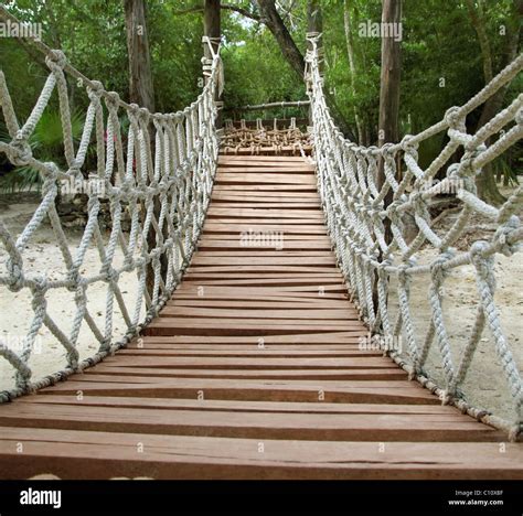 Forest rope bridge hike hi-res stock photography and images - Alamy