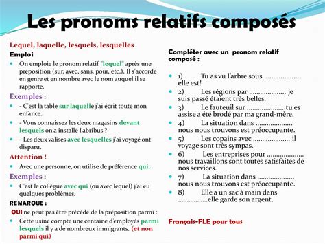 Des Pronoms Relatifs