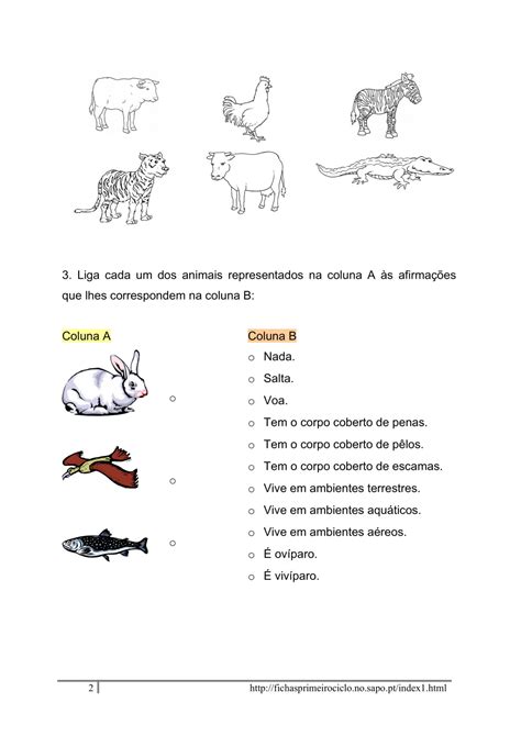 Fichas De Avaliacao 2 Ano Estudo Do Meio