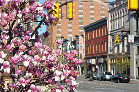 Tamaqua Borough - Tamaqua, Pennsylvania: Contributing Buildings