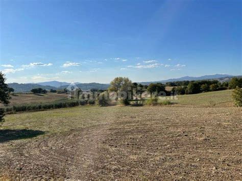 Terreno Agricolo Podere Quercioleto 1 Cinigiano Rif 91661586