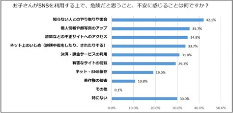 【子どものsns利用調査】snsでのトラブルでもっとも多いのは「ネット上のいじめ」。親が心配なのは「知らない人とのやり取りや面会