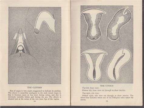 Eugenics Publishing The Picture Story Of A Womans Sexual Life Booklet