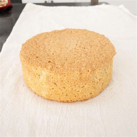 Healthy Whole Wheat Sponge Cake