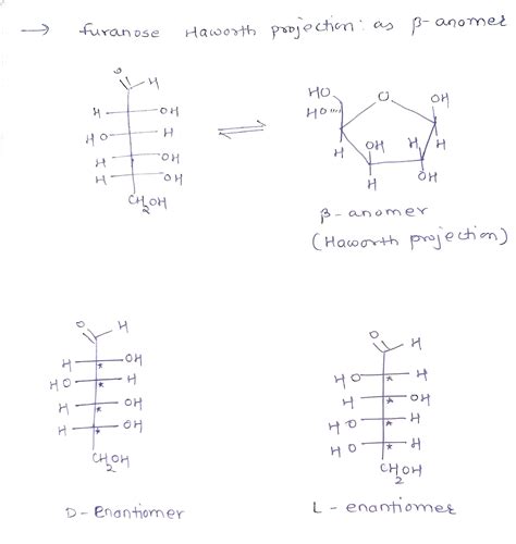 Solved Draw The Furanose Haworth Projection Membered Ring As The B