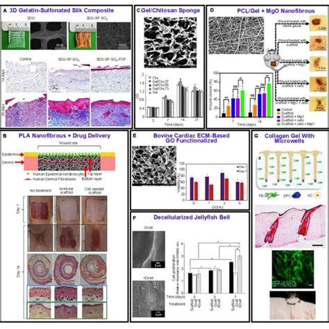 (a, d) Different 3D-printed bone tissue engineering scaffolds. Fused ...