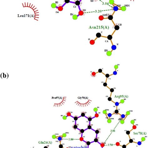 Overall Quality Of The AQP 3 Protein Model Evaluated By The ERRAT A