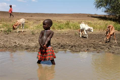 Un To Build The Resilience Of Communities In Karamoja Fao Unicef And