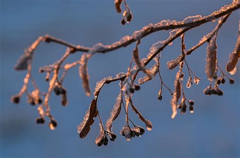 Scenes of a Winter Wonderland - ABC News