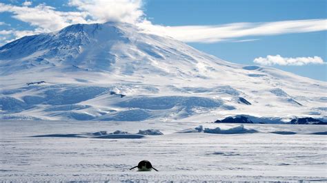 Is there a supervolcano buried in Antarctica waiting to erupt? | Fox News