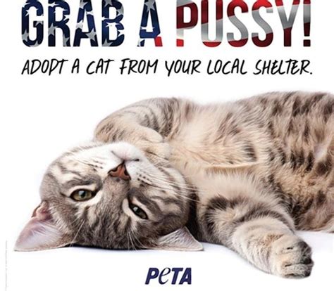 Humane Society S Grab A Pussy Cat Campaign Goes Awry Toronto Sun