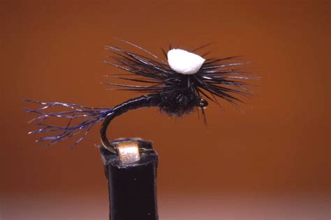 Best Winter Trout Flies Fly Selection Guide