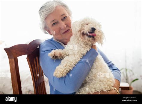 Holding A Dog Hi Res Stock Photography And Images Alamy