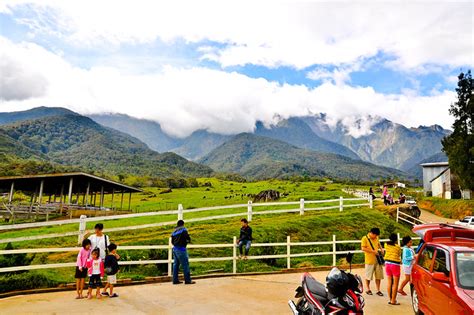 Kundasang Dairy Farm Desa Cattle My Beautiful Borneo Travel And