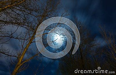 Majestic Full Moon At Midnight Dark Night Landscape With Naked Trees Stock Photo