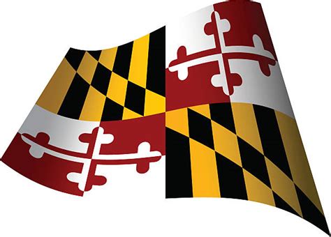 160 Maryland Flag Stock Illustrations Royalty Free Vector Graphics