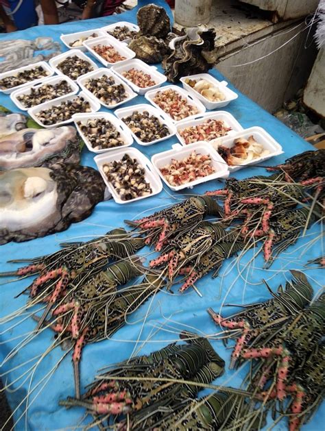 seafood   suva market  fiji times