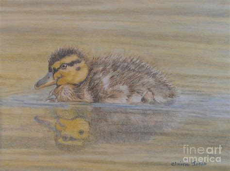 Fluffy Duckling Painting by Elaine Jones - Fine Art America