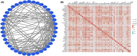 Interaction Analysis A Interaction Network And B Gene Coexpression