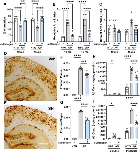 Sulfanegen administration improves cognitive behavior and reduced Aβ