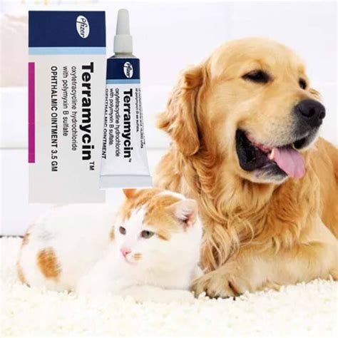 Pet Eye Ointment Pet Cat Dog Eye Ointment Corneal Inflammation Eye