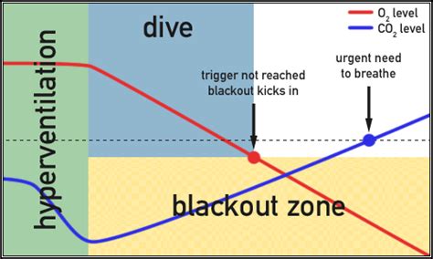 Shallow water blackout - wikidoc