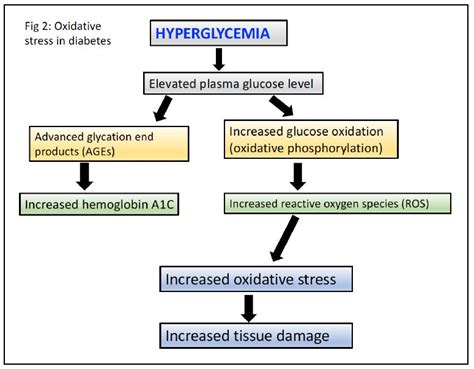 Introduction To Diabetes Mellitus Biochemistry