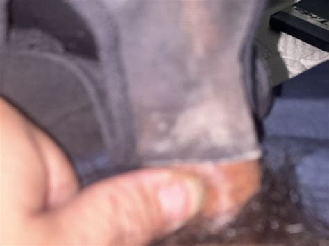 Pantie Sniffed Nude Pics XHamster