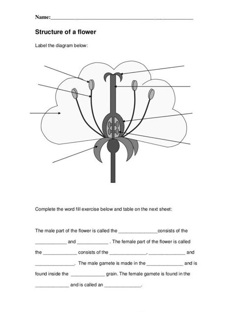 Th Grade Science Worksheets