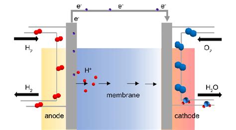 Scheme For The Operation Process Of Pemfcs Download Scientific Diagram